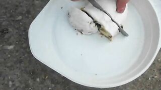 Chubby hot fat ass lady poops