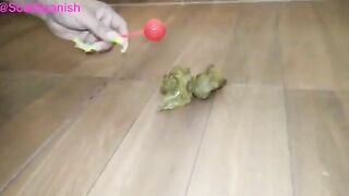 Smooth poop on the floor