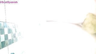 Hairy pussy and tasty pooping asshole