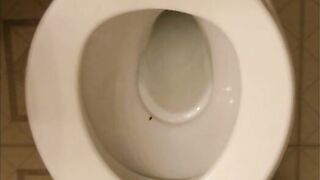 Amateur lady pooping cam