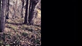 Dirty slut eating shit in the toilet