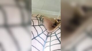 Stinky asshole of sexy babe