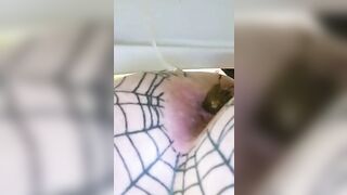 Tasty big booty lady hot poop