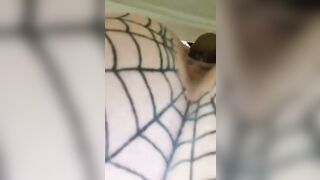 Nerdy mature lady dropping poop