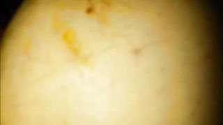 Close up interracial sex