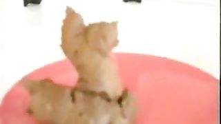 Long one in close up