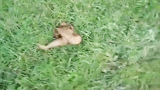 Pooping on the grass