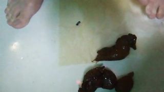 Shit in the tub