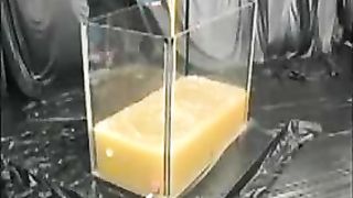 Having fun in a pool of scat