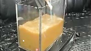 Having fun in a pool of scat