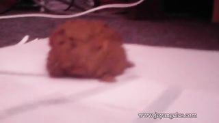 Turd on a white napkin