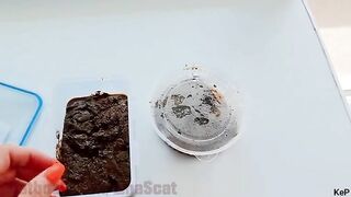 Scat play and shit eating in the bathroom