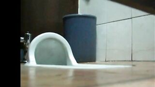 Toilet Poop Voyeur Cam