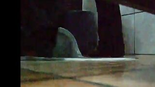 Toilet Poop Voyeur Cam