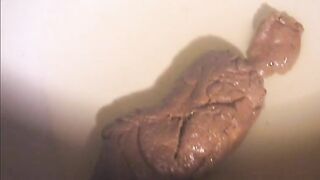 HD POOP SHOW