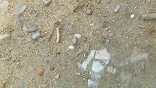 Amateur lady pooping on the hills