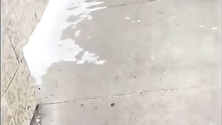 Caught her big turd on the hand