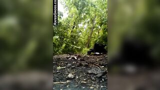 Hot shit in the woods