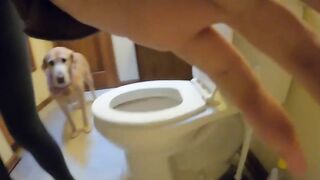 Lovely round ass girl pooping in the toilet