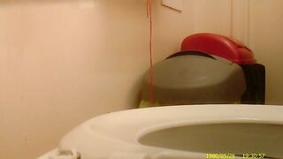 Amazing poop in the toilet