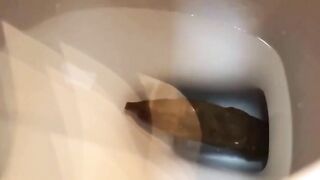 Toilet Clogging Princess compilation