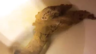 Videos Tagged with closeup