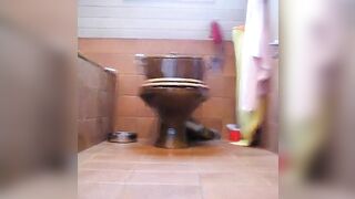 Toilet scat poop
