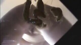 Tasty poop on the mirror