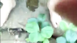 Collection of beautiful shit and piss from hot teens