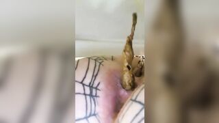 Girl with spiderweb tattoo on her ass gets her asshole spread open