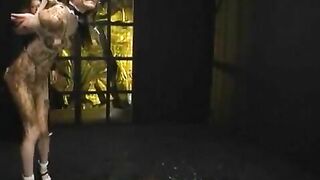 Poop loving horny scat Asian babe