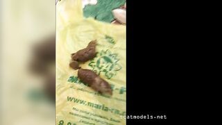 Small young Russian girl poops