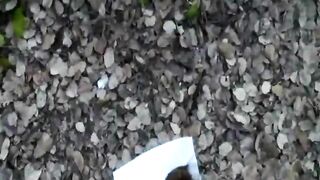 Lady pooping in the hill park