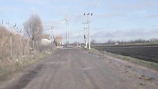 Piss and poop at the road side