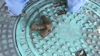 Amateur horny lady poops in the forest