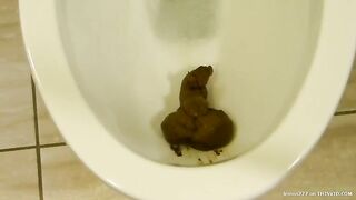 Dirty big ass mature lady and poops in the WC
