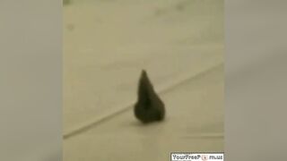 Curvy blonde milf piss and poop on the floor