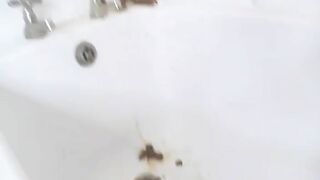 Stunning brunette pooper girl