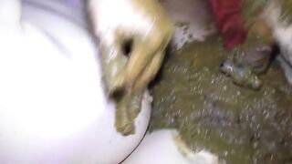 Curvy ass lady playing with dirty poop