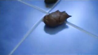 Hot schoolgirl dropping hot shit