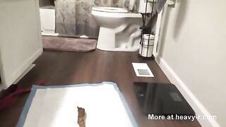 Round cheeky ass lady and heavy poop