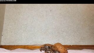 Girl masturbating and shitting