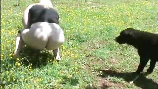 Big bottom milf poops in the field
