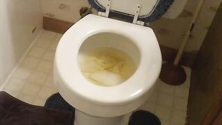 Amateur mature lady poops in toilet