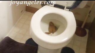 Amateur mature lady poops in toilet