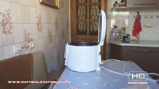 Big fat booty girl poops