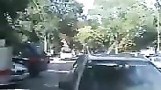 A huge poop in the middle of the bushes