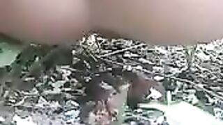 A huge poop in the middle of the bushes