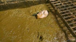 Betty submerging in cowshit