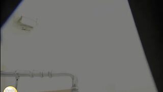 Sweet round ass Japanese gal pooping